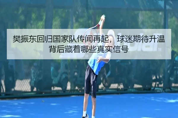 樊振东回归国家队传闻再起，球迷期待升温背后藏着哪些真实信号